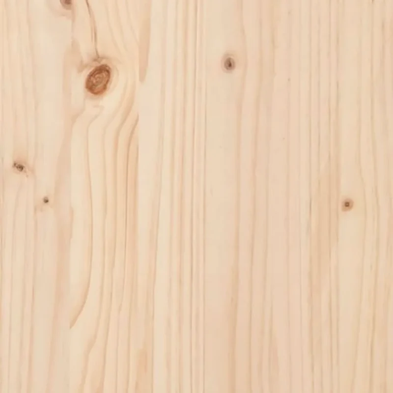 Banc de Travail en Bois