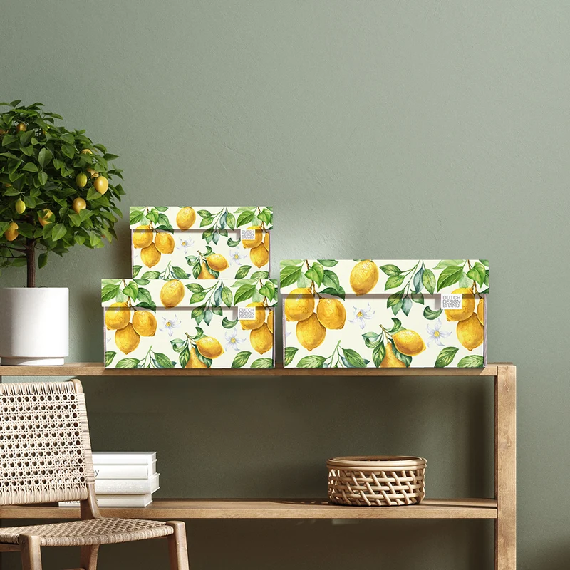 Lemons Storage Box B2B