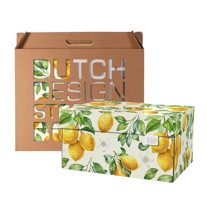 Lemons Storage Box B2B