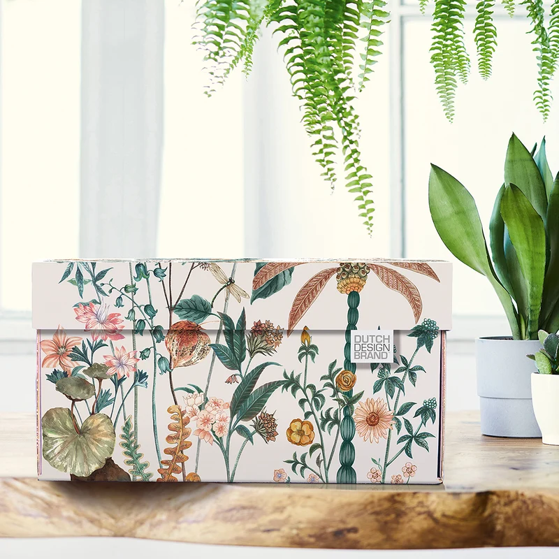 Dragonfly Storage Box