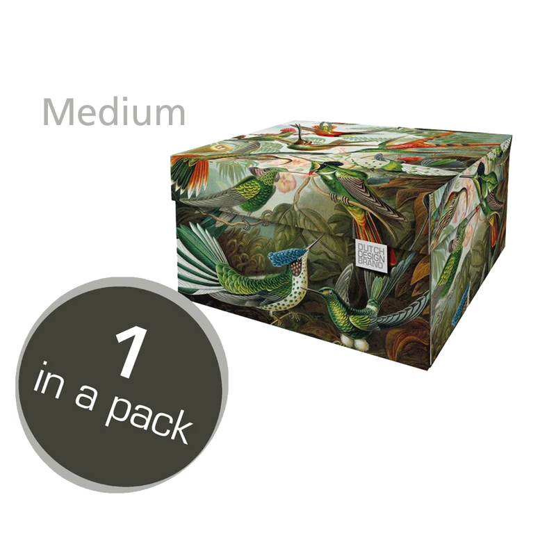 Art of Nature Storage Box Medium