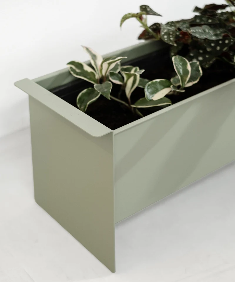 PLANT box