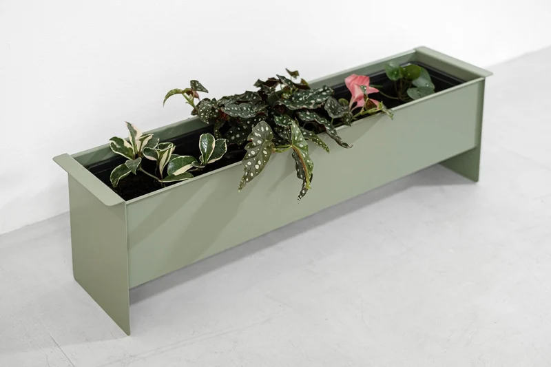 PLANT box