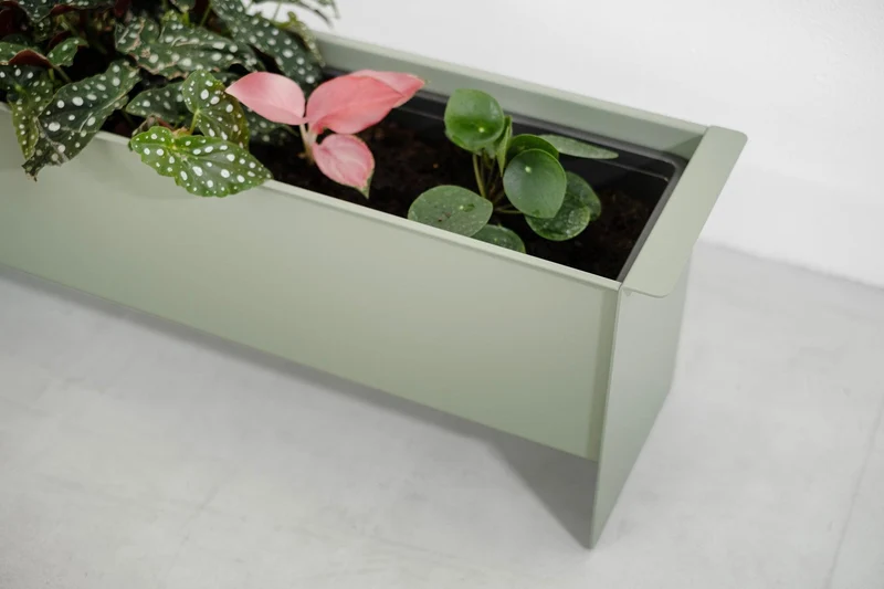 PLANT box
