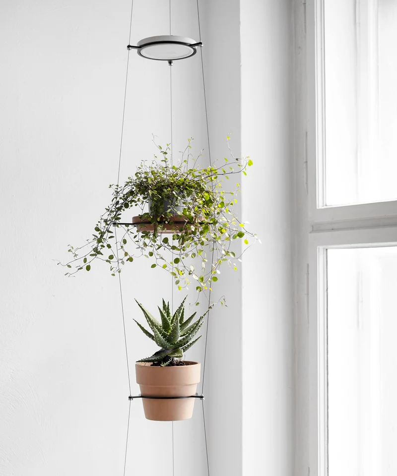 ORBIT plant hanger