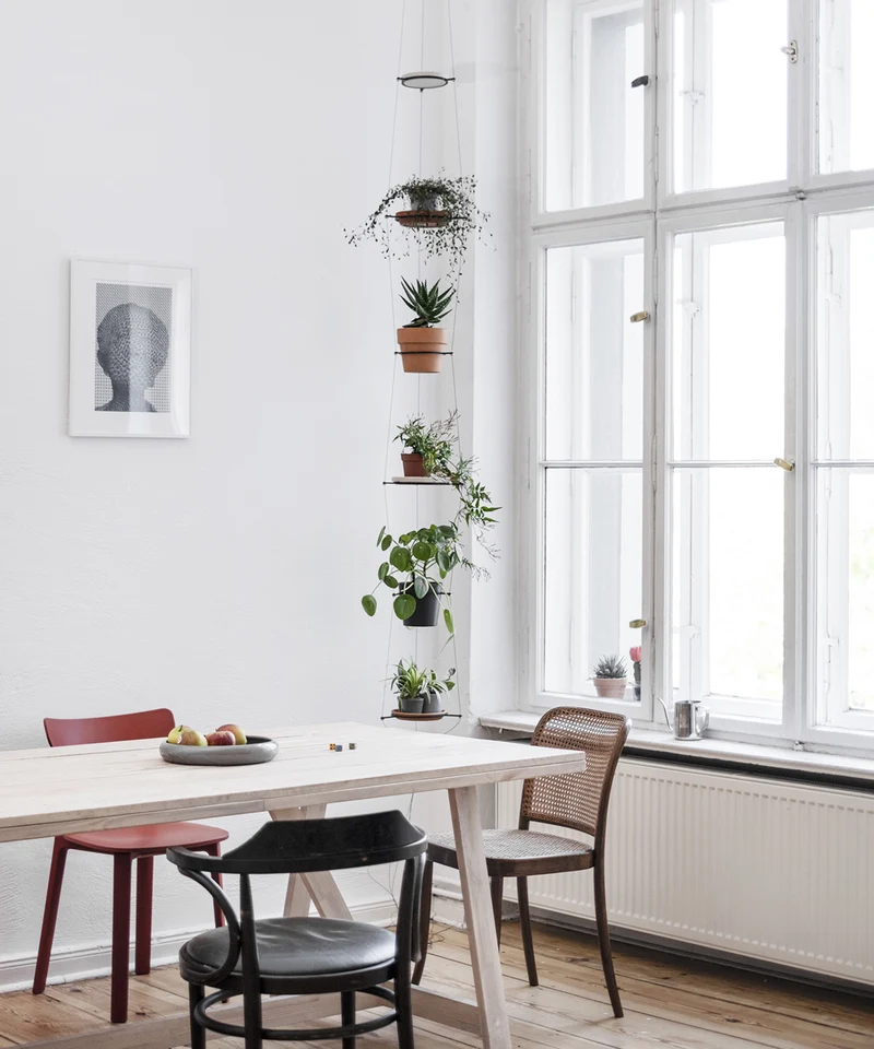 ORBIT plant hanger