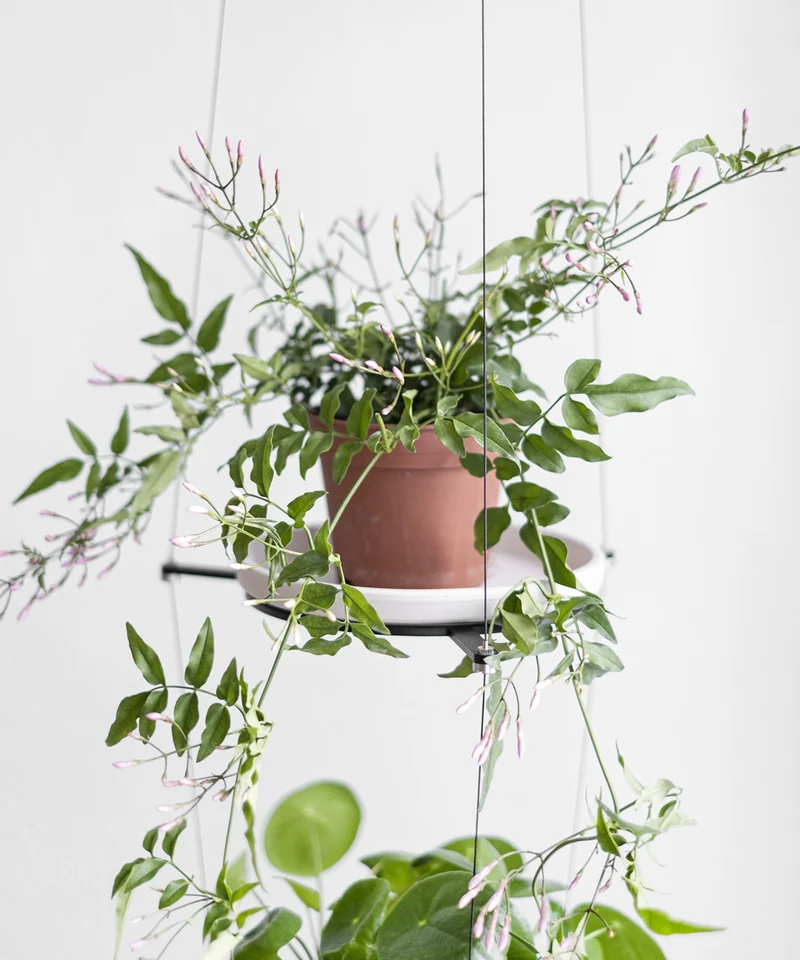 ORBIT plant hanger