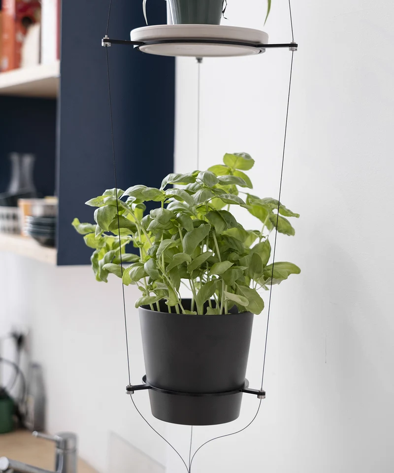 ORBIT plant hanger
