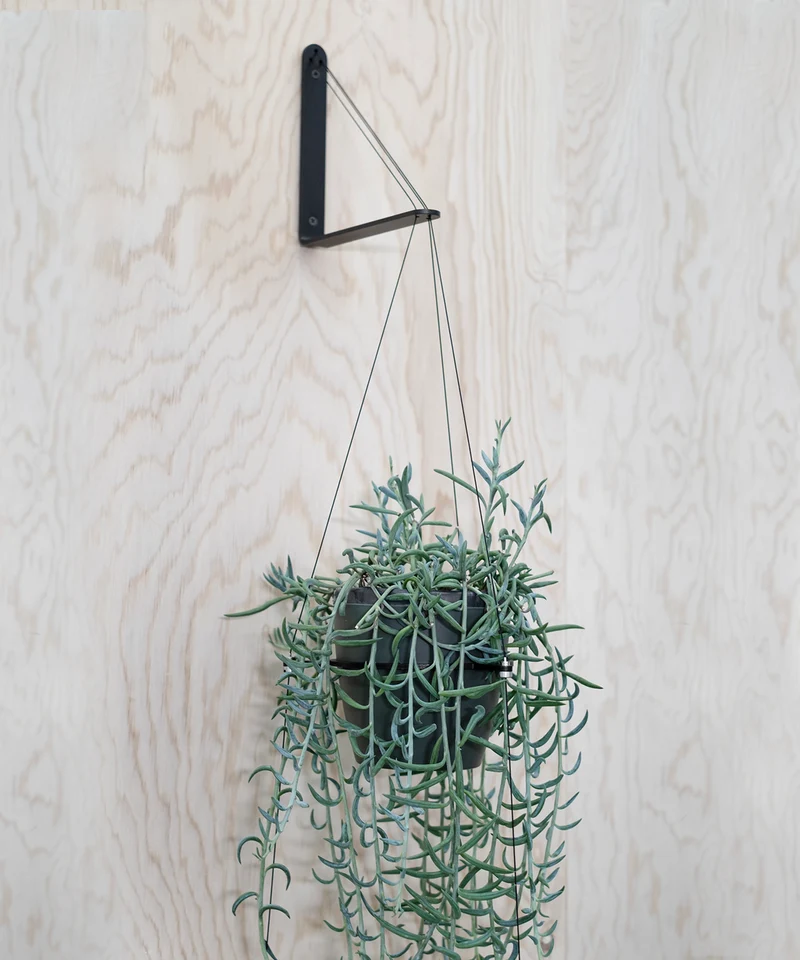ORBIT plant hanger