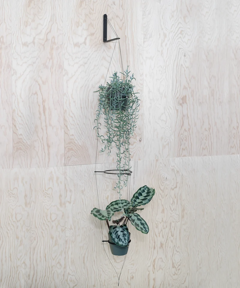 ORBIT plant hanger