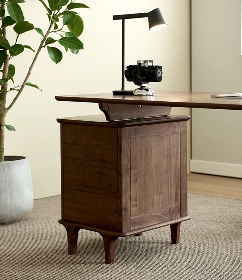 Luminous Contemporary Walnut Wood Desk with Small Drawers