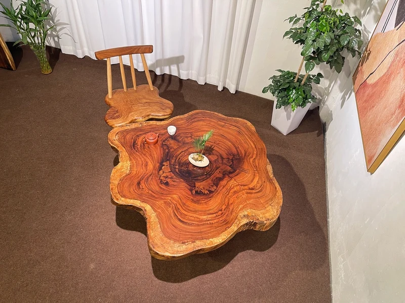 Live Edge Bark and Beauty Coffee Table