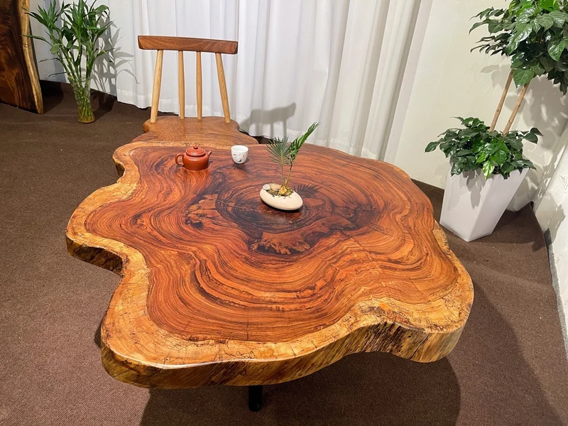 Live Edge Bark and Beauty Coffee Table