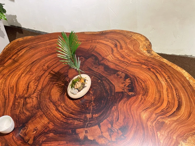 Live Edge Bark and Beauty Coffee Table