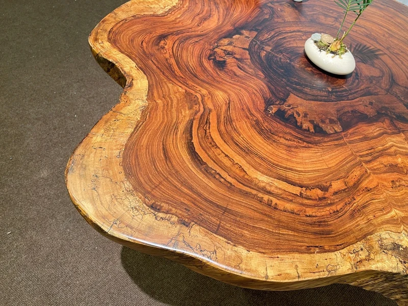 Live Edge Bark and Beauty Coffee Table