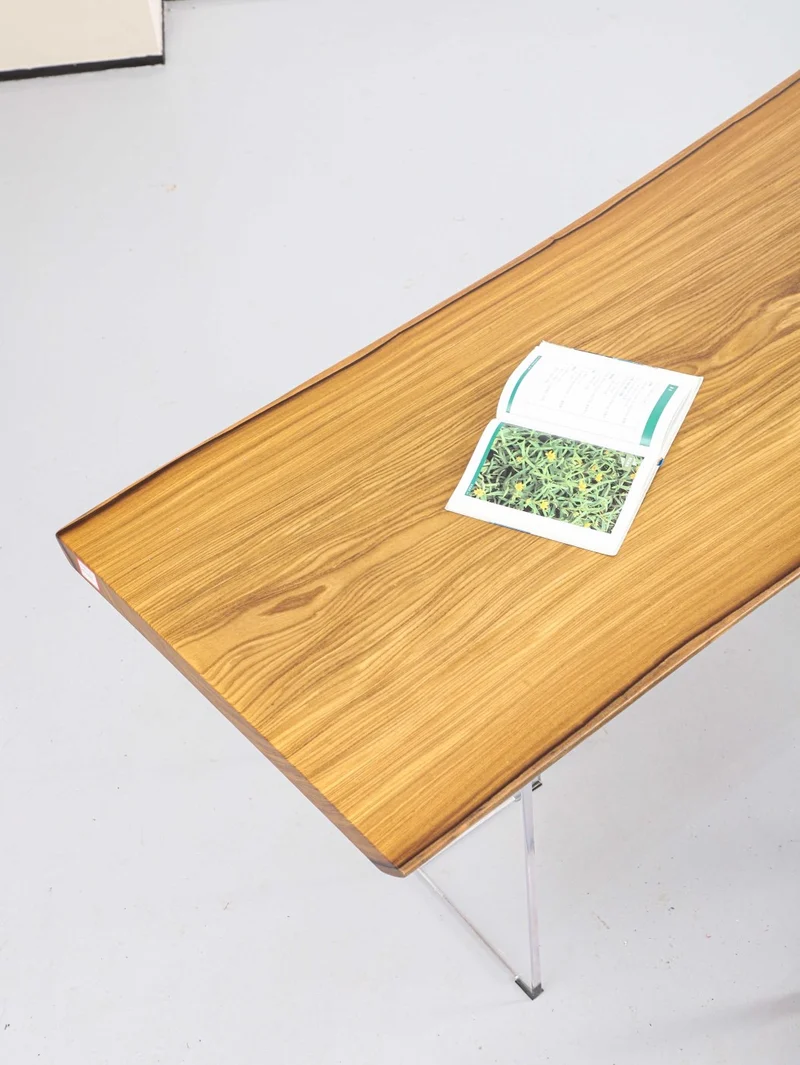 Whisper Live Edge Teak Wood Dining Table