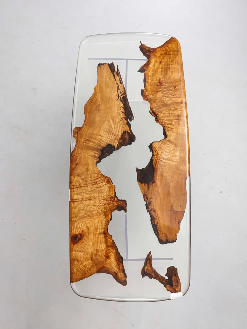 Whimsical Surface Camphor Wood Resin Table