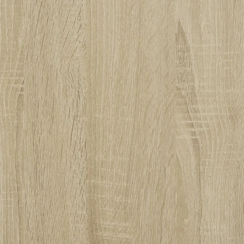 Armoire à chaussures 75 x 38 x 97,5 cm grand espace rangement déco moderne en bois d'ingénierie chêne sonoma 02_0055628