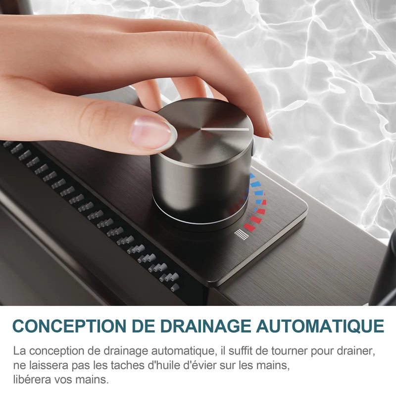 SIRHONA 1 Bac Évier de Cuisine Noir Multifonctionnel à Encastrer Avec Robinet de Poisson Volant Rétractable & Affichage de la Température 75x45cm