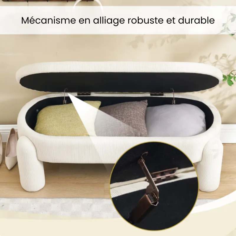 Banc Coffre de Rangement Ottoman Beige | Design Moderne et Élégant