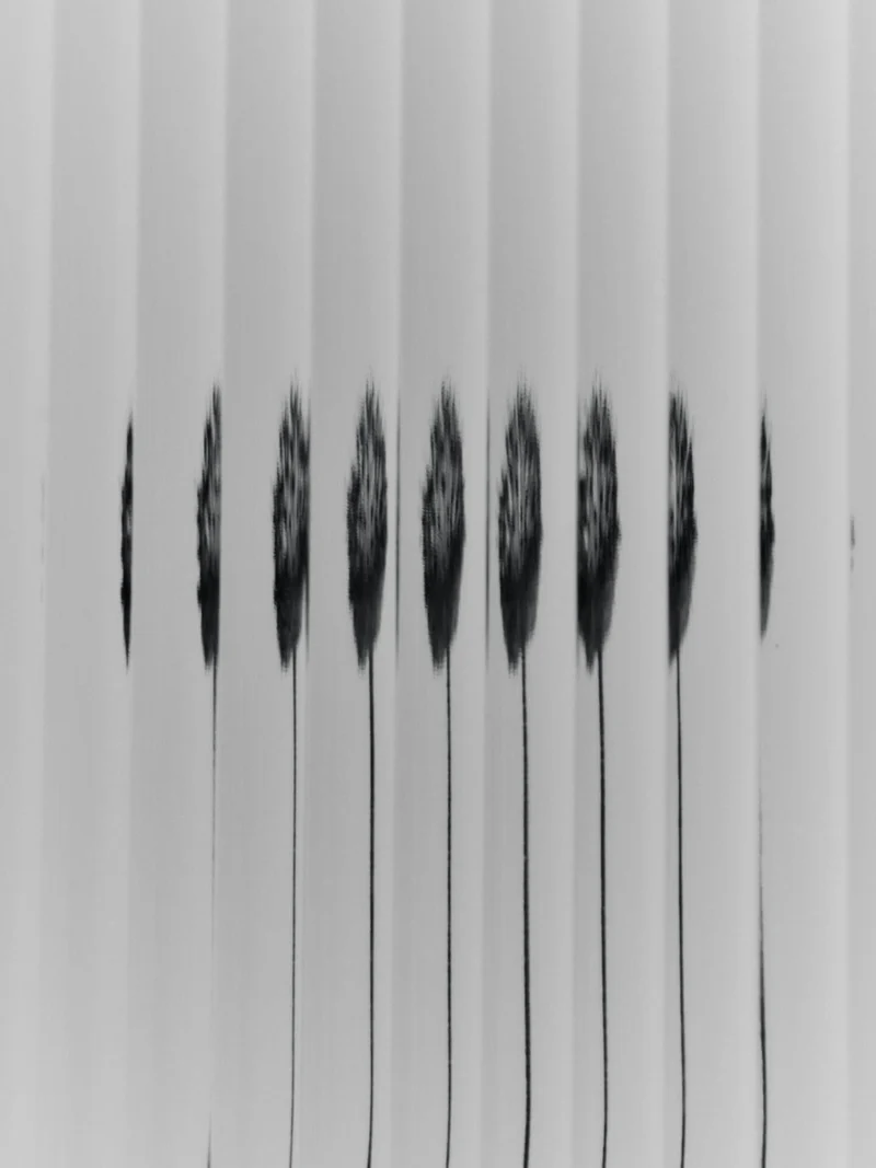 Haze Wall Cabinet - Tall