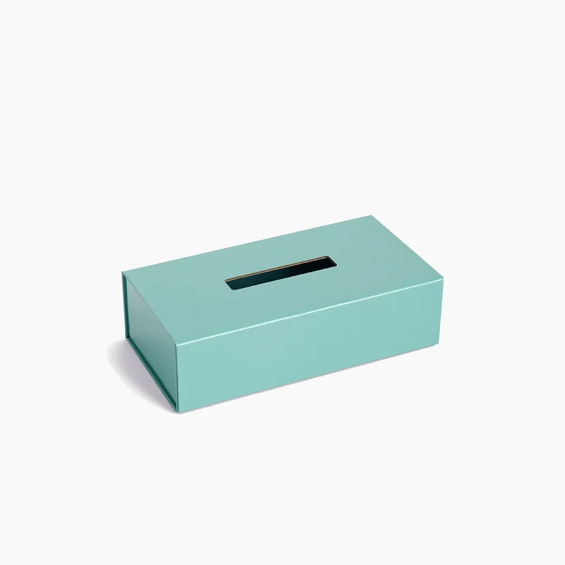 Colour Storage Tissue Box