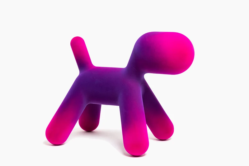 Puppy