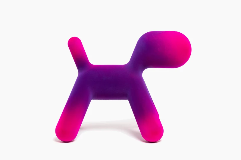 Puppy