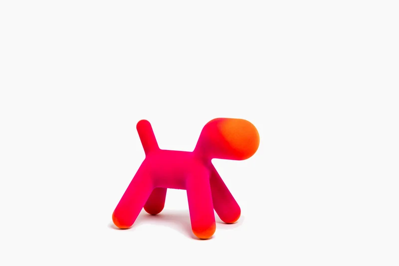 Puppy