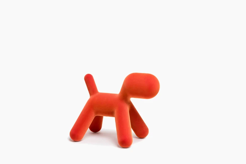 Puppy
