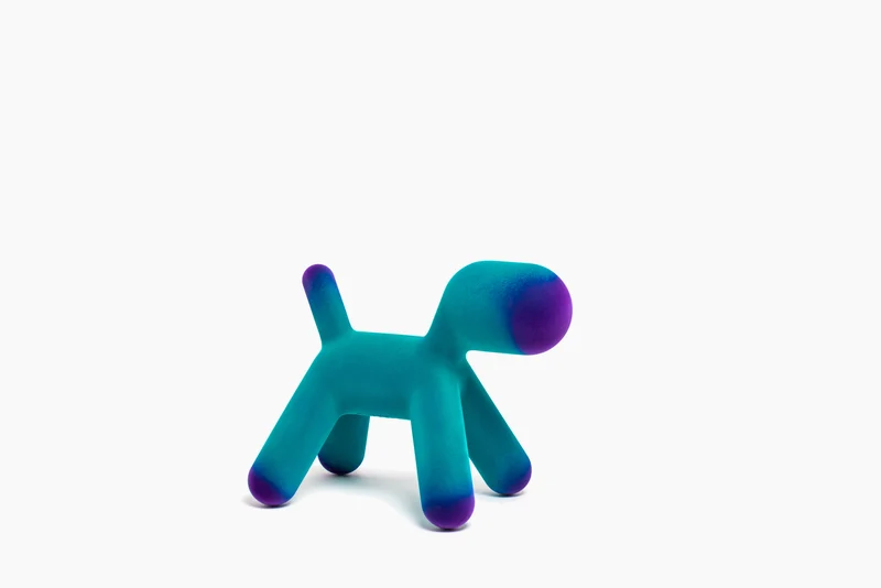 Puppy