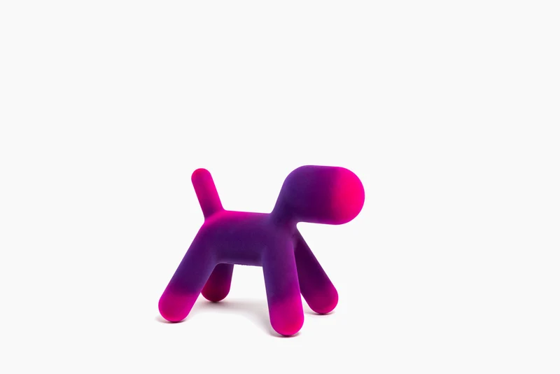 Puppy