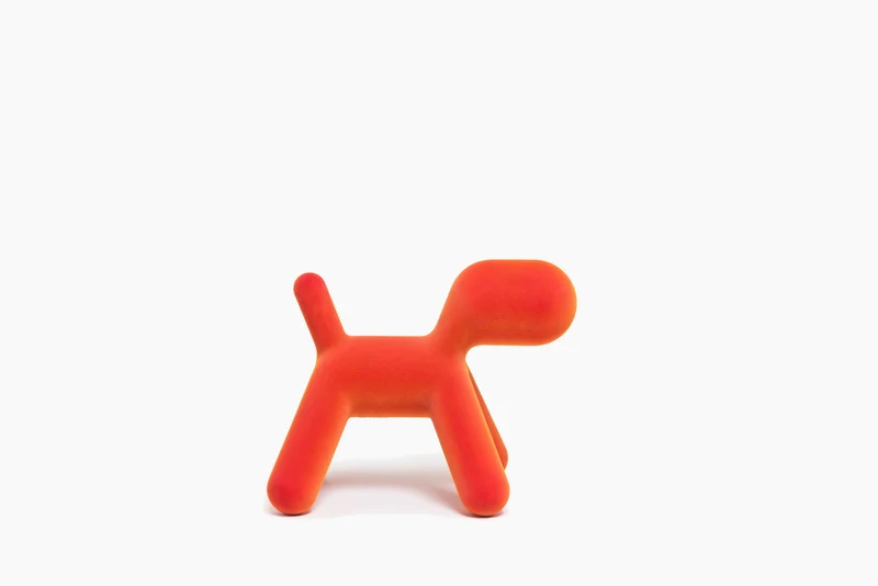 Puppy