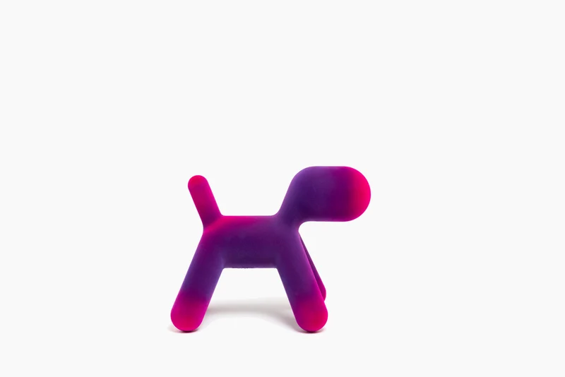 Puppy