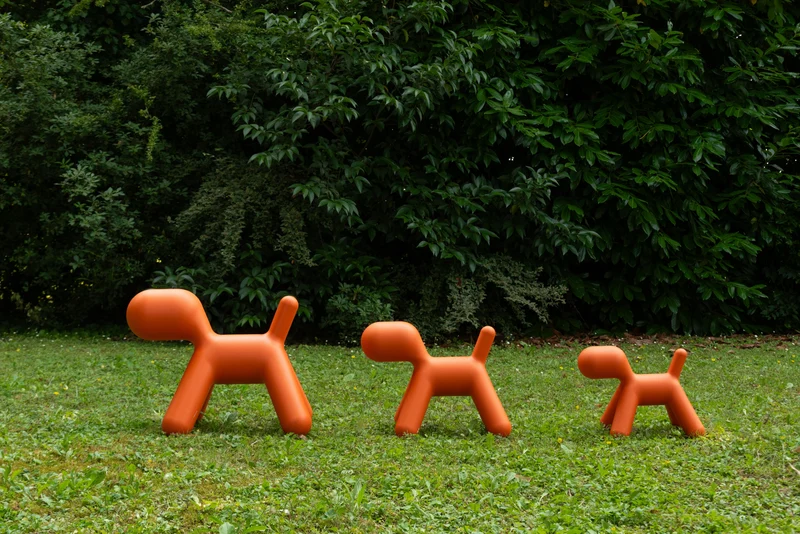 Puppy