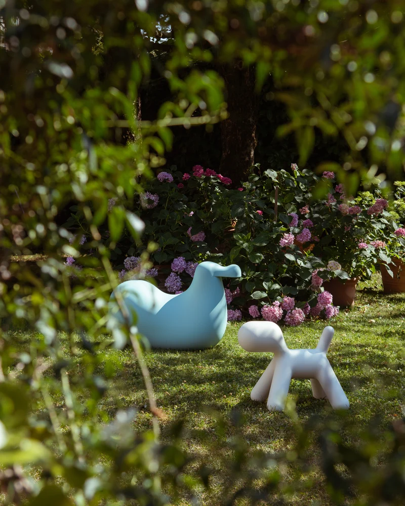 Dodo