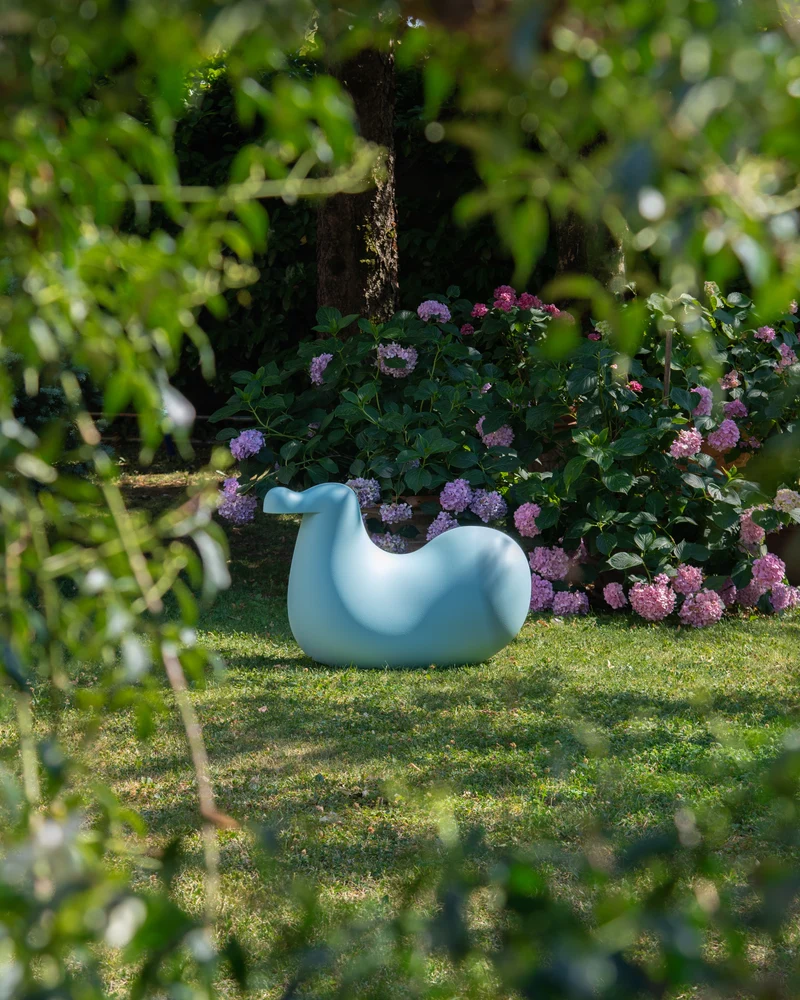 Dodo