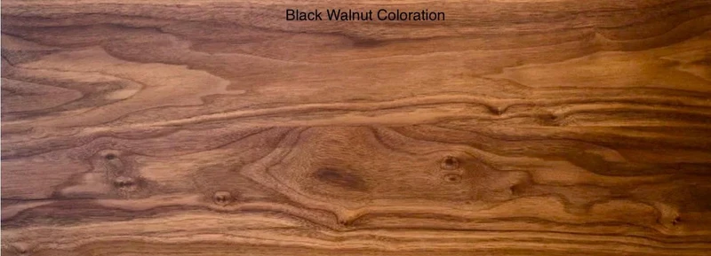 The Bodø - Black Walnut Bookcase | Mid Century Modern Bookshelf