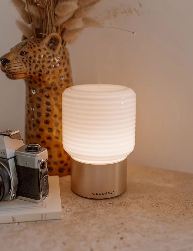 Difusor de bruma de perfume con luz regulable