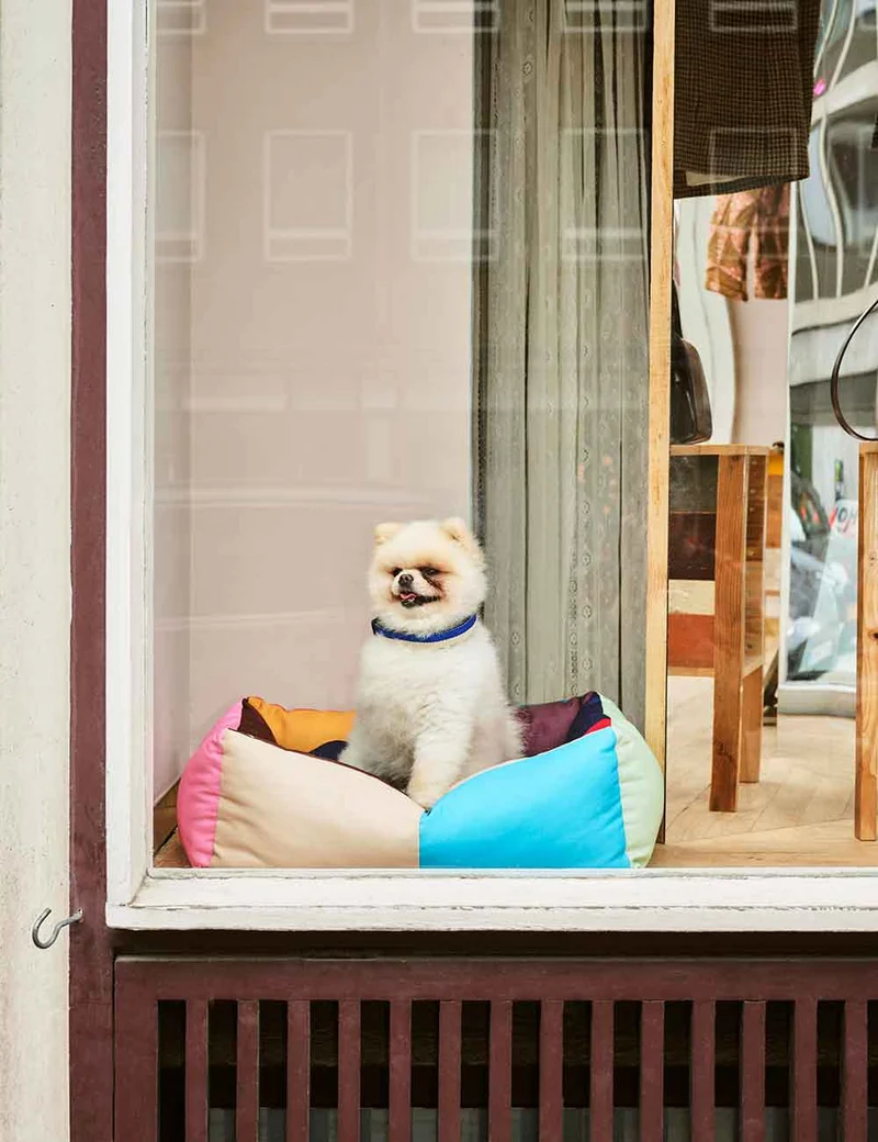 Cama perro desenfundable S HAY Dogs