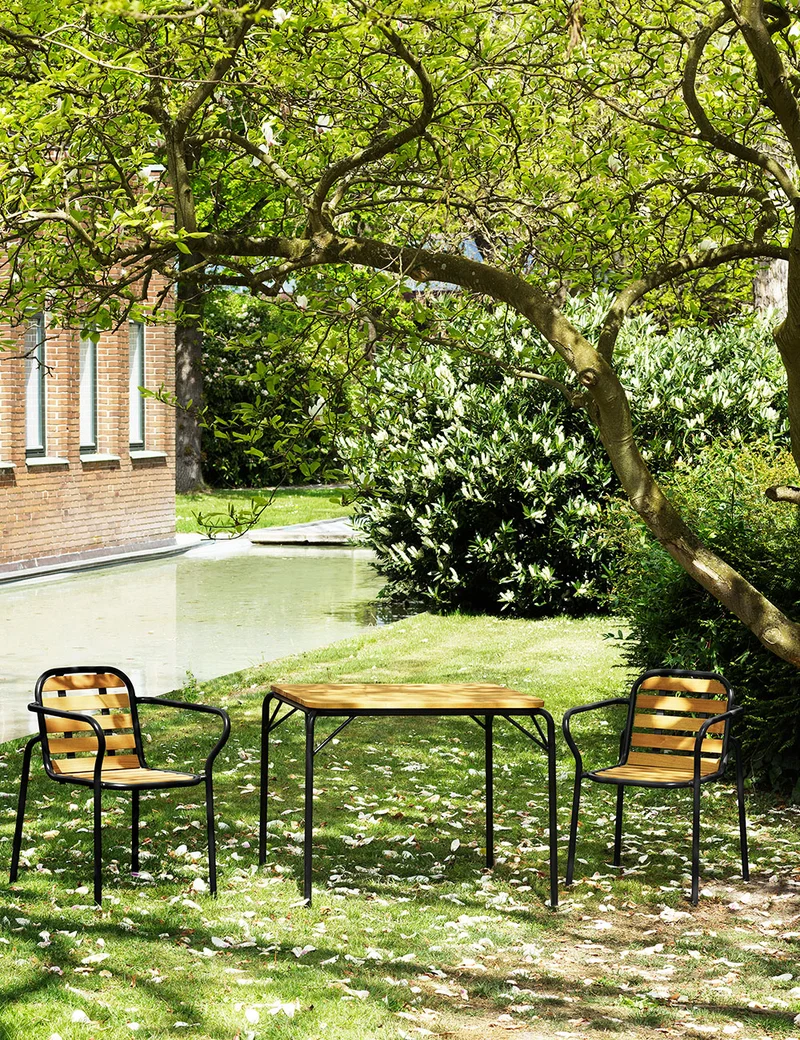 Silla brazos Vig Robinia