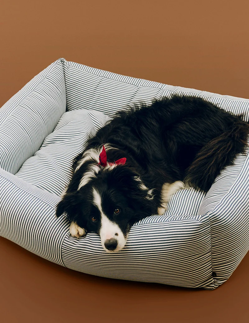 Cama perro desenfundable L HAY Dogs