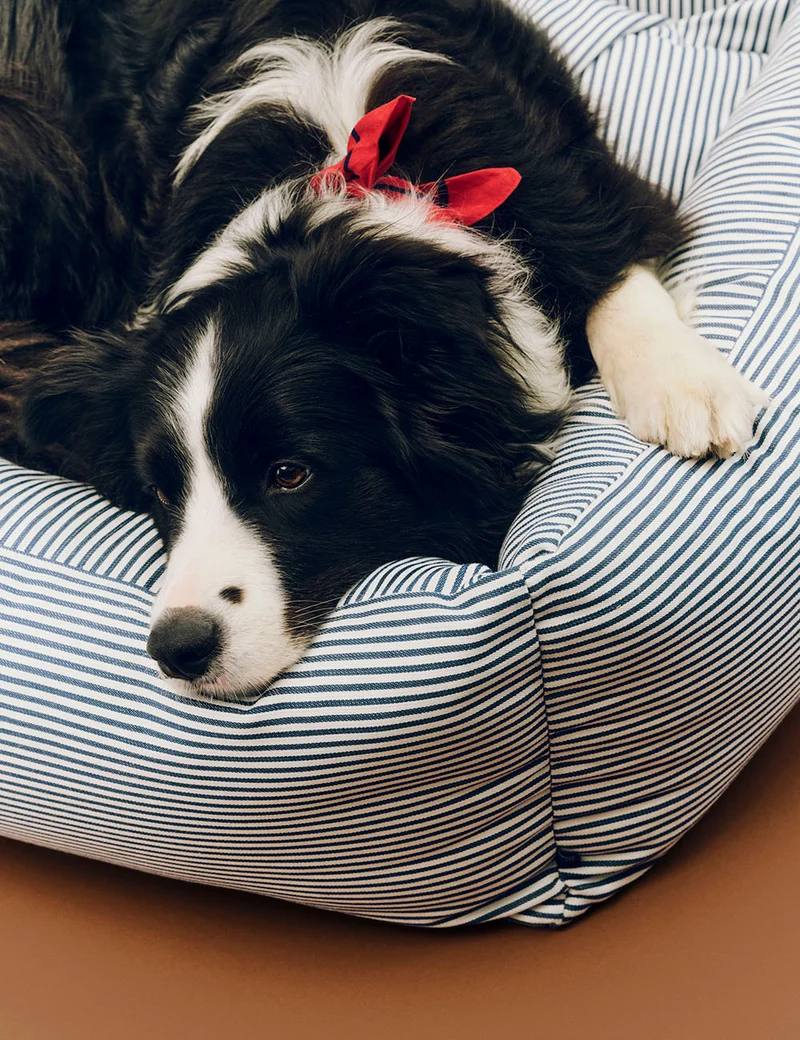 Cama perro desenfundable L HAY Dogs
