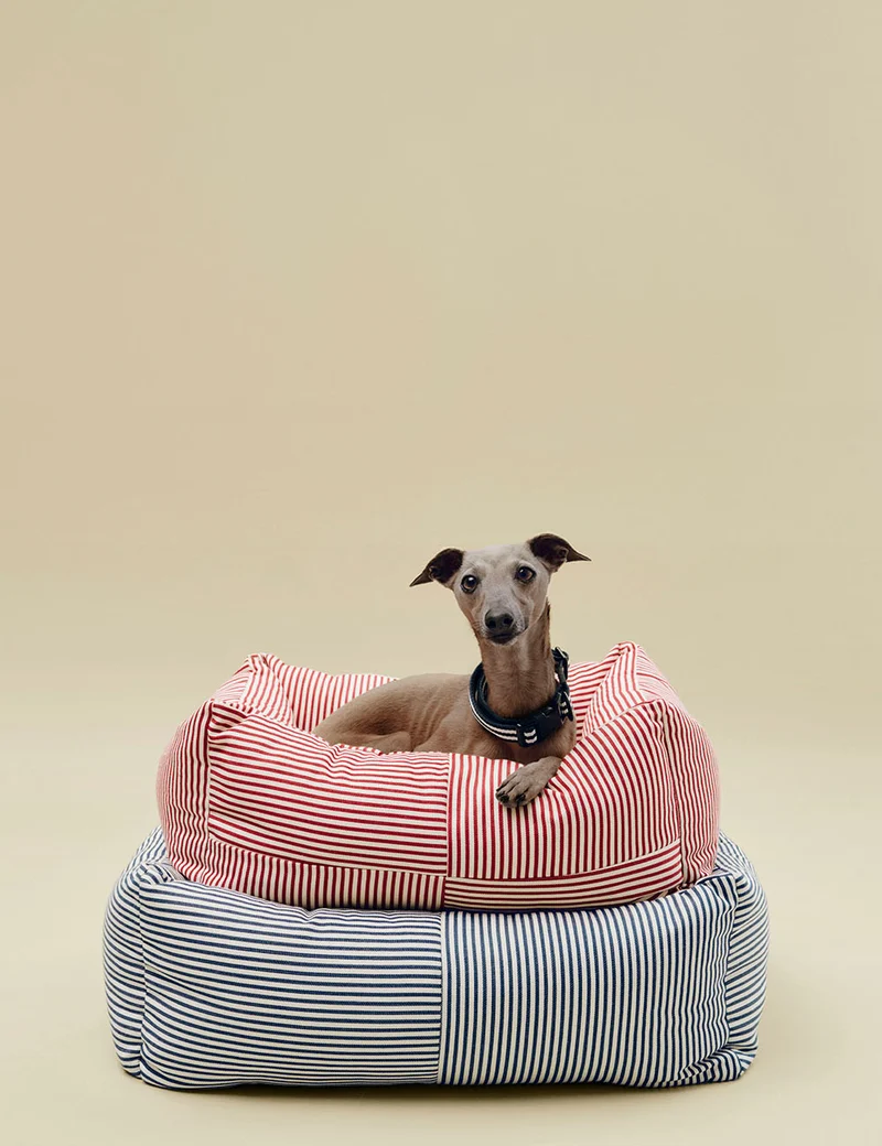 Cama perro desenfundable M HAY Dogs