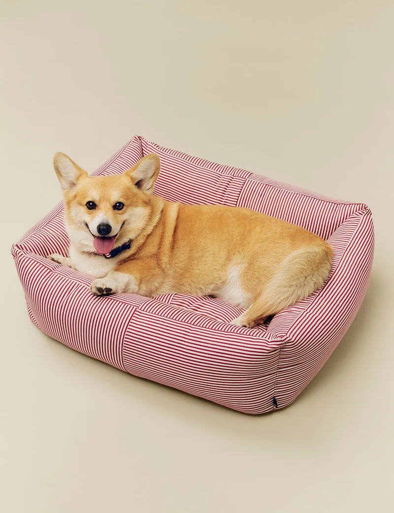Cama perro desenfundable M HAY Dogs
