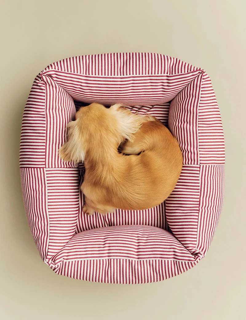 Cama perro desenfundable XS HAY Dogs