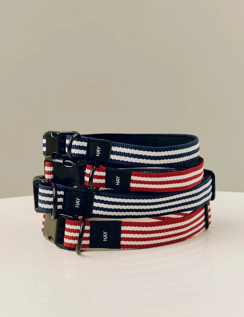 Collar perro S/M HAY Dogs