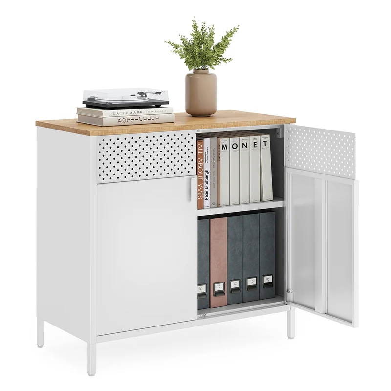 Buffet de rangement en métal à double porte élégante