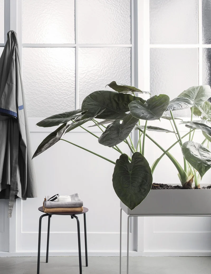 Plant Box