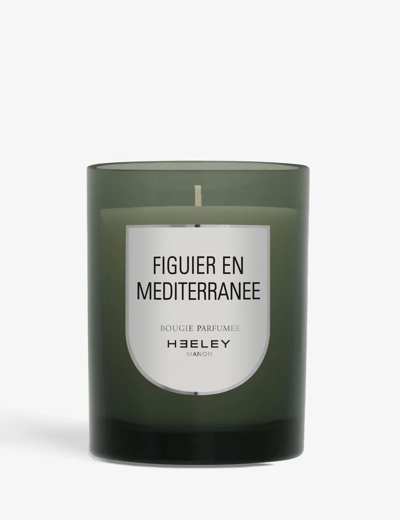 figuier en mediterranee
